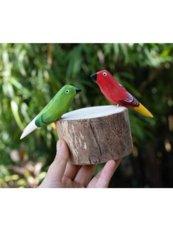 2 passarinho no toco arara tucano saira variados decoração vaso jardim